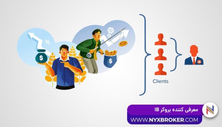 معرفی کننده بروکر IB