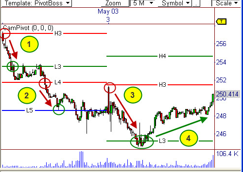 خطوط کاماریلا
